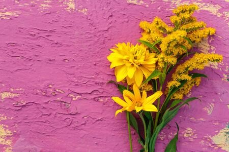 Yellow garden flowers on colorful background closeupの写真素材