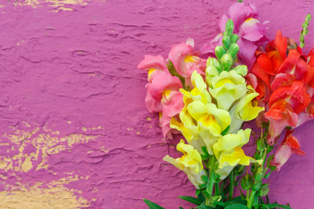 Bouquet of gladiolus on colorful background closeupの写真素材