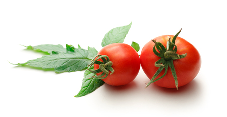 Fresh red tomatoes on the white backgroundの写真素材