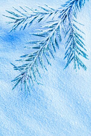 Christmas background with snow and firtree branchの写真素材