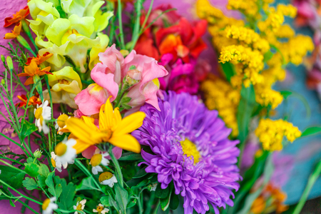 Bouquet of garden flowers on colorful backgroundの写真素材