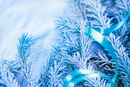Christmas background with snow and firtree branchの写真素材