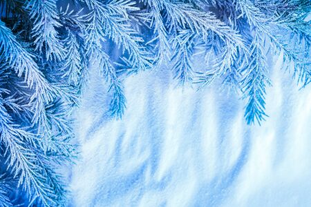 Christmas background with snow and firtree branchの写真素材