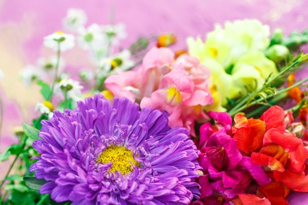 Bouquet of garden flowers on colorful backgroundの写真素材