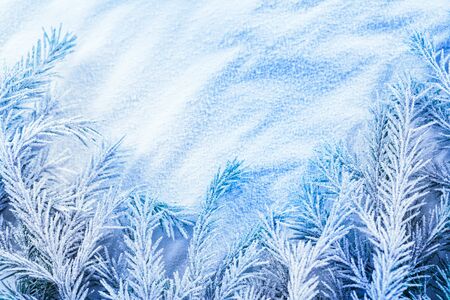 Christmas background with snow and firtree branchの写真素材