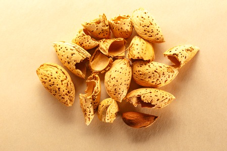 Dry almond nuts with shadow in closeupの写真素材