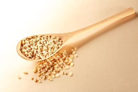 Pearl barley and wooden spoon on paperの写真素材