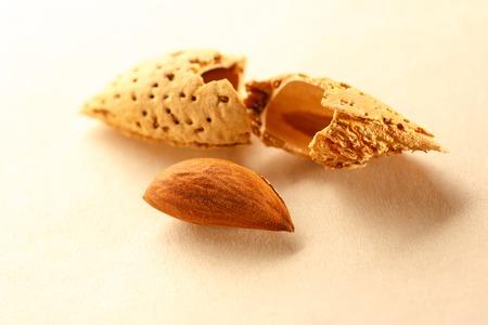 Dry almond nuts with shadow in closeupの写真素材