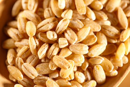 Pearl barley and wooden spoon in closeupの写真素材