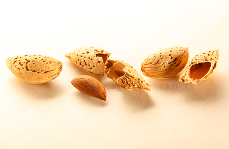 Dry almond nuts with shadow in closeupの写真素材