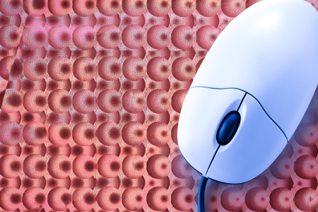 Computer mouse in the blue toning closeupの写真素材