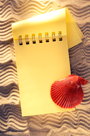 Seashell and yellow notepad on sand background in lightの写真素材