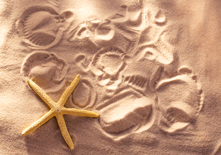 Sea star and prints on sand in lightの写真素材