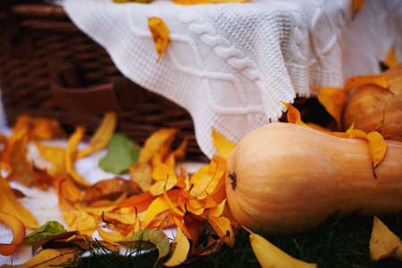 Orange pumpkins lying on the grass surrounded by yellow leaves on a background of knitted blankets. Autumn still life with place for textの写真素材
