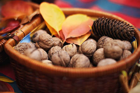 Walnuts with the cone and yellow leaves in a wattled basketの写真素材