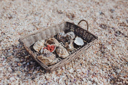 Wicker basket with sea shells and oysters in the background of many small shellsの写真素材