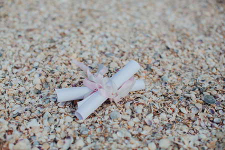 Two white scroll of paper bound with a pink ribbon, lying on the beach strewn with shellsの写真素材