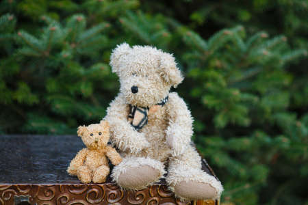 Two toys of a bear, big and small, sit on a suitcase against the background of fir-treesの写真素材