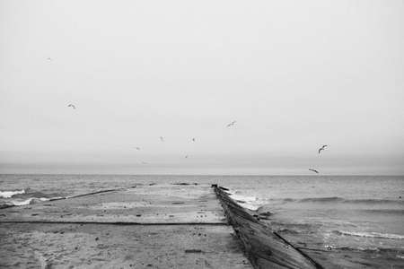 Old concrete pier with seagulls flying around. The effect of old black and white photographsの写真素材