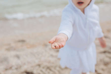 Cockleshell on a childrens handの写真素材