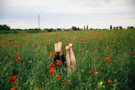 a pair of legs sticking out of the poppies and green grassの写真素材