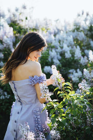 Fashion brunette Model in a designer blue dress fingering lilac flowers on spring dayの写真素材