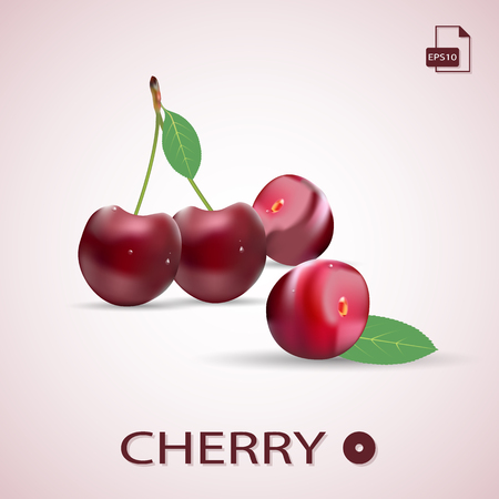Set of ripe red cherries.のイラスト素材