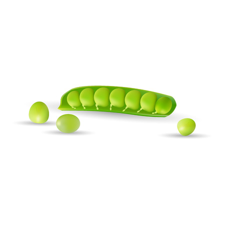 Pea Pod. Vegetable 3d Vector Icon Isolated On A White Background.のイラスト素材