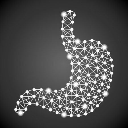 Human Stomach Isolated On A Black Background. Vector Illustration.Gastroenterology. Creative Medical Conceptの写真素材