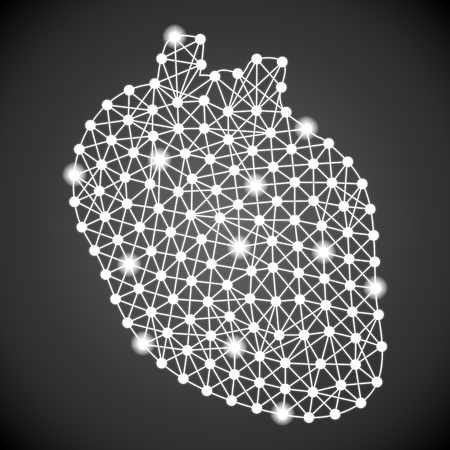 Human Heart Isolated On A Black Background. Vector Illustration.Cardiology. Creative Medical Conceptの写真素材