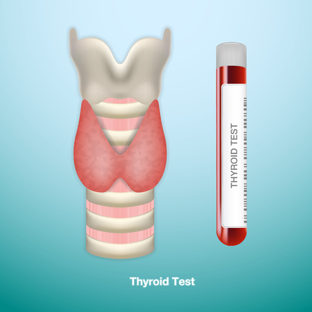 Test Tube With Blood For Thyroid Test And Healthy Thyroid. Endocrinology System Or Hormone Secretion.のイラスト素材