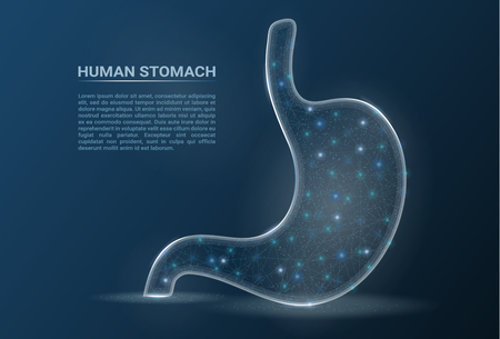 Human Healthy Stomach. Internal Digestion Organ Isolated On A Background. Vector Illustration. Healthcare Concept.のイラスト素材