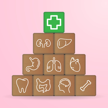 Human Organs Icons On Wooden Blocks Isolated On A White Background. Vector Illustration. Healthcare Concept.のイラスト素材