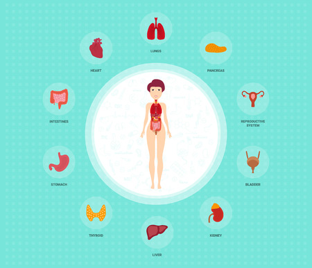 Human anatomy infographic elements with set of internal organs placed in female body. Woman reproductive organs with girl silhouette and icons around. Vector illustrationのイラスト素材