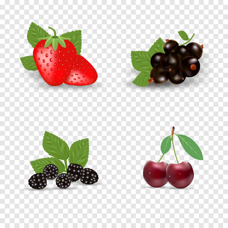 Berry icon set. Black currant, backberry, strawberry and cherry. Berries with green leaves. Organic healthy food. Vector illustration 3d style, eps 10のイラスト素材