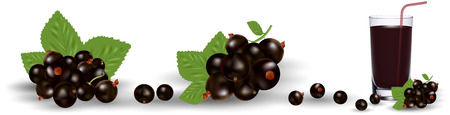 Black currant set. Realistic 3d vector illustration, eps 10のイラスト素材