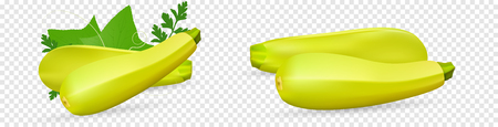 Fresh vegetable Zucchini decorated with green leaf and flower. Realistic vector on transparent background, 3d illustrationのイラスト素材