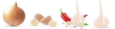 Onion, pepper and garlic. Vector illustration on white background.のイラスト素材