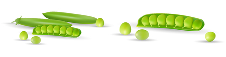 Green peas isolated on white background, set with whole and open peas in pods. Vector illustrationのイラスト素材