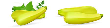 Zucchini isolated on background. Squash whole. Fresh vegetable marrow isolated. Oblong, green squash. Vegetable marrow courgette or zucchini. Harvest courgette organic ingredient. Vector illustrationのイラスト素材