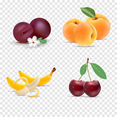 Cute bright colors of fruits vector collections. Set of fruits cherry, apricot, banana. Available in eps10. Vector illustrationのイラスト素材
