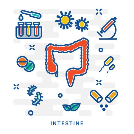 Gastrointestinal tract concept icon. Gastroenterology idea thin line illustration. Large bowel, intestine. Healthcare. Vector isolated outline drawing. Suitable for use on web apps, mobile apps and print media.のイラスト素材