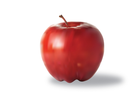 Vector Red apple isolatedのイラスト素材