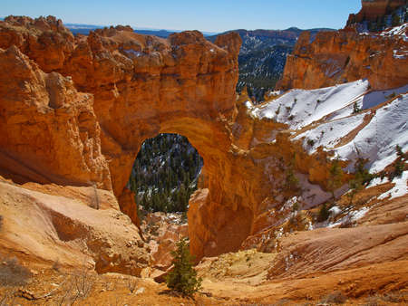 The Bryce Canyon National Park, Utah, USA の写真素材