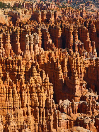 The Bryce Canyon National Park, Utah, USA の写真素材