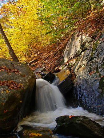 a stream in a new jersey state parkの写真素材