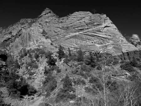 The Zion National Park in Utah USA, in black and whiteの写真素材