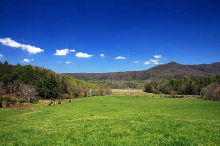 The Great Smoky Mountain National Park in the morningの写真素材
