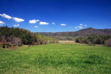 The Great Smoky Mountain National Park in the morningの写真素材