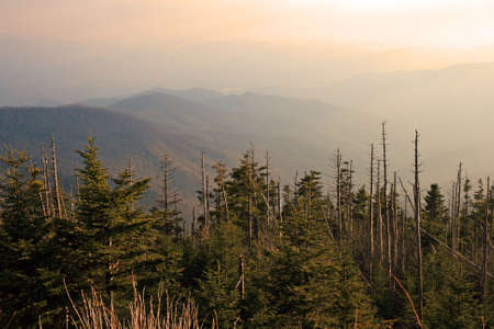 The Great Smoky Mountain National Park at sunsetの写真素材